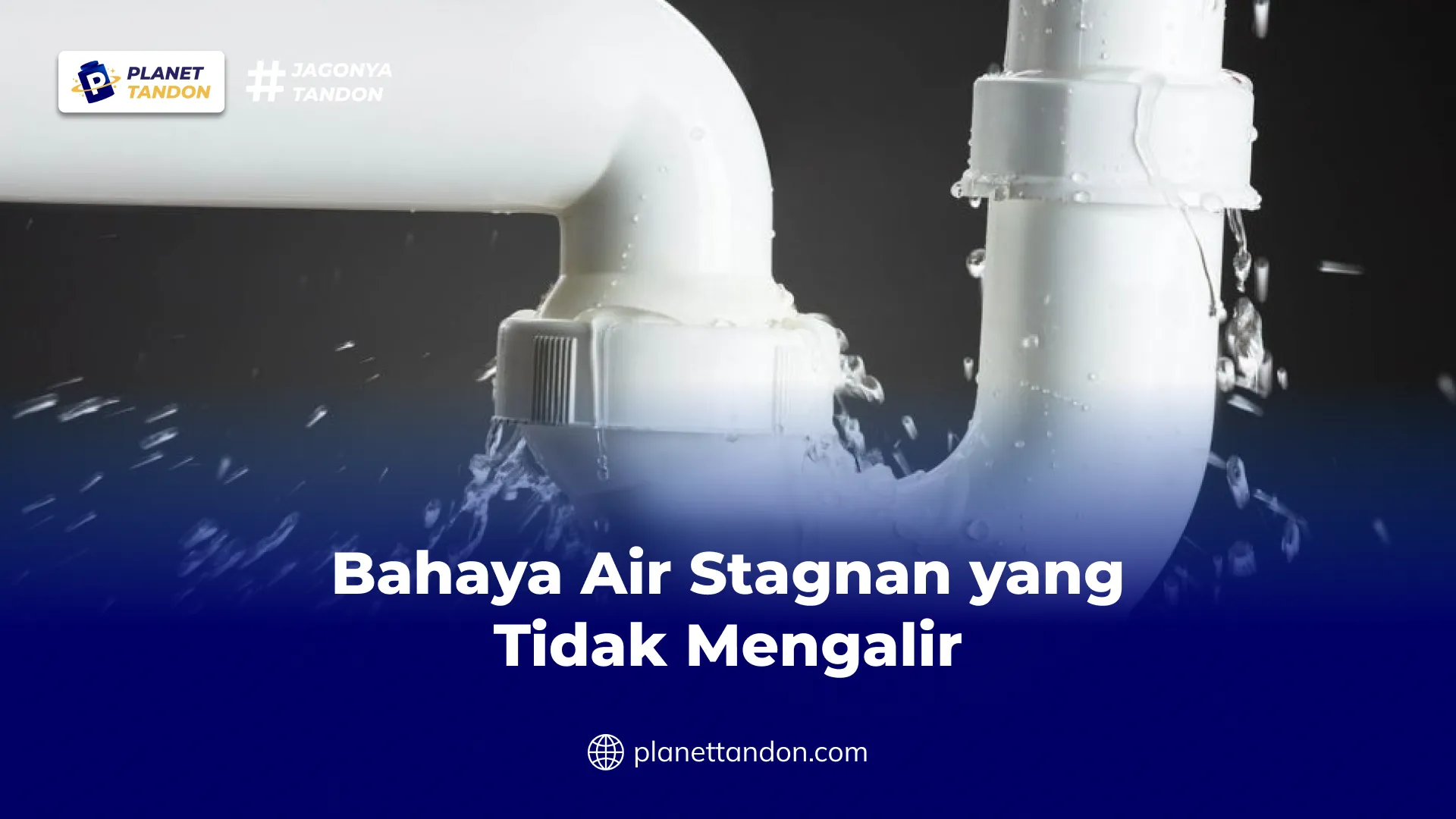 Bahaya Air Stagnan yang Tidak Mengalir