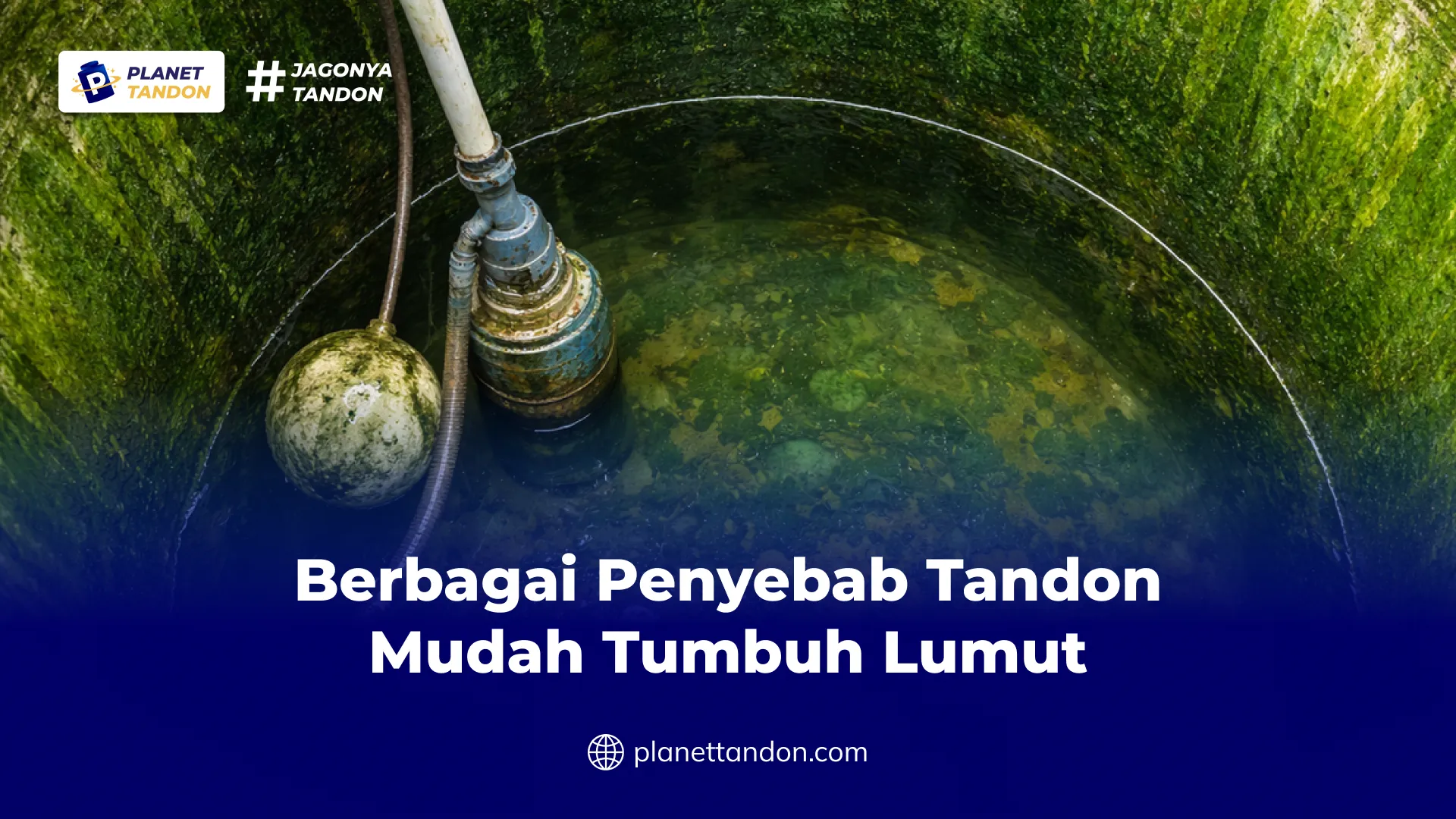 Berbagai Penyebab Tandon Mudah Tumbuh Lumut