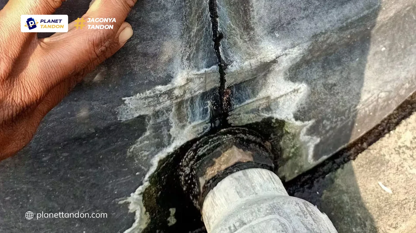 Kapan Harus Mengganti Tandon