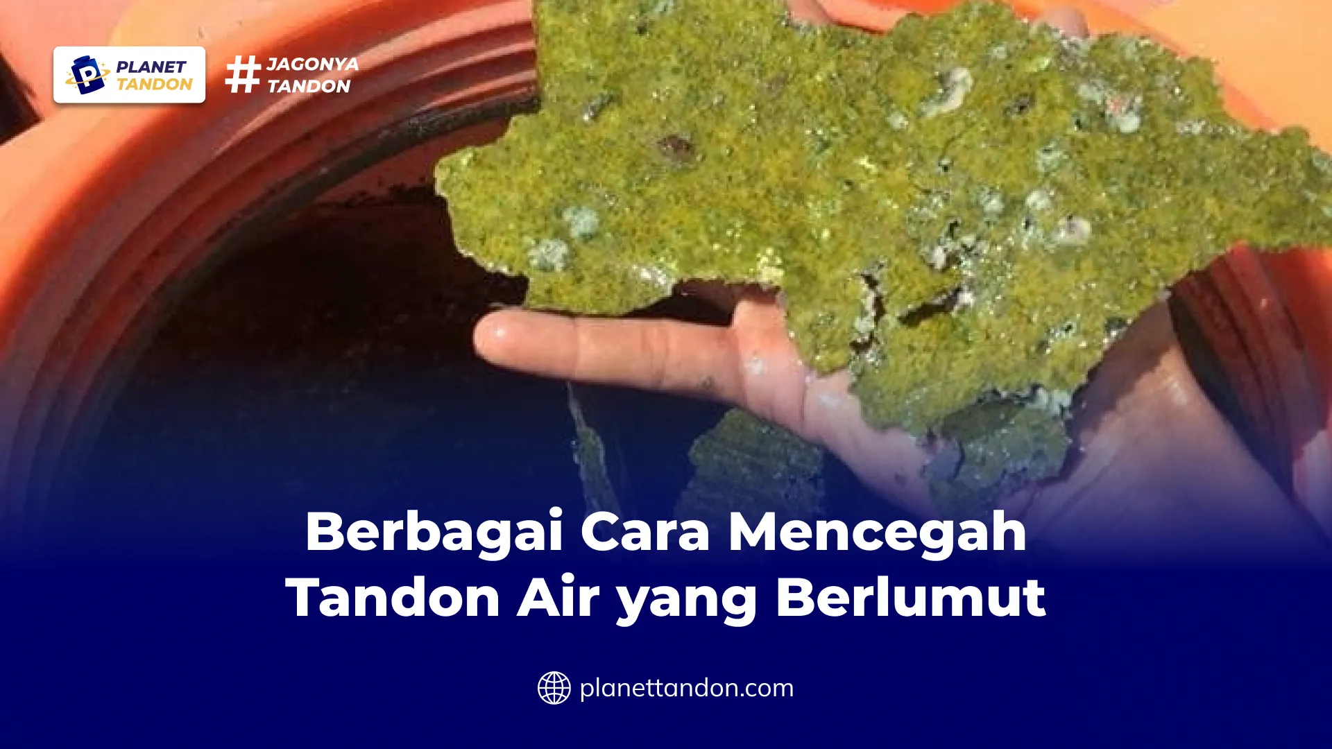 Berbagai Cara Mencegah Tandon Air yang Berlumut