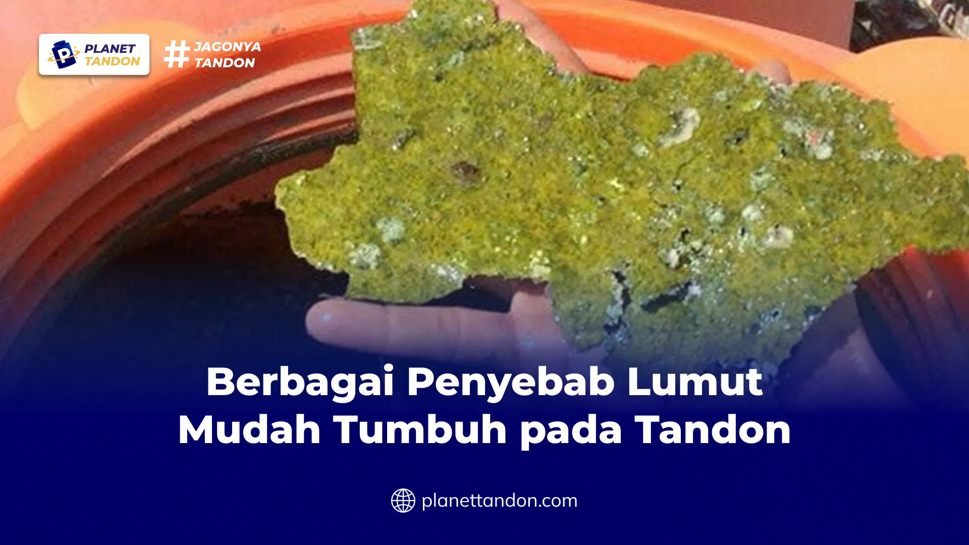 Berbagai Penyebab Lumut Mudah Tumbuh pada Tandon