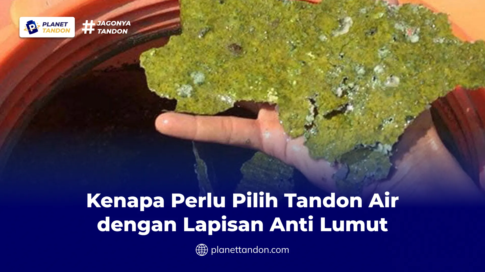 Kenapa Perlu Pilih Tandon Air dengan Lapisan Anti Lumut