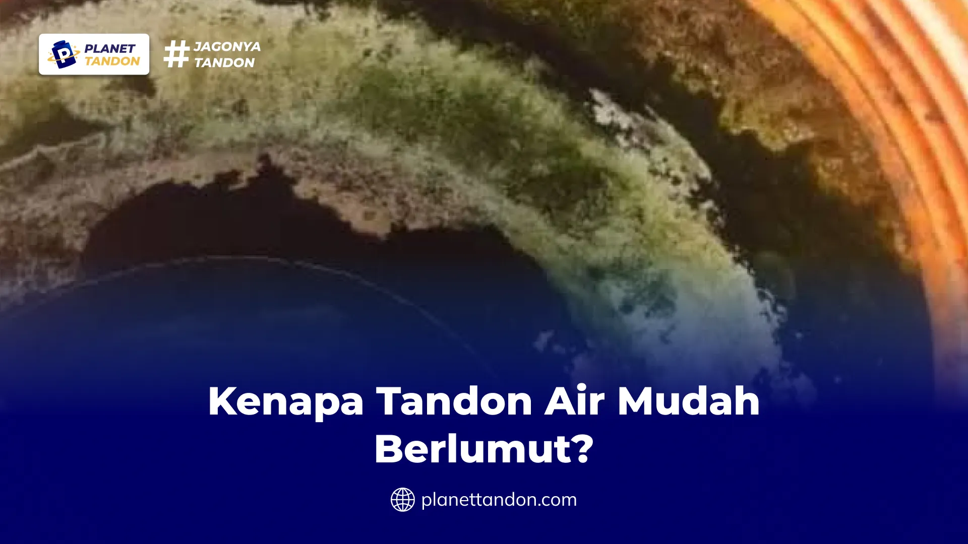 Kenapa Tandon Air Mudah Berlumut?