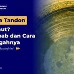 Kenapa Tandon Berlumut? Penyebab dan Cara Mencegahnya