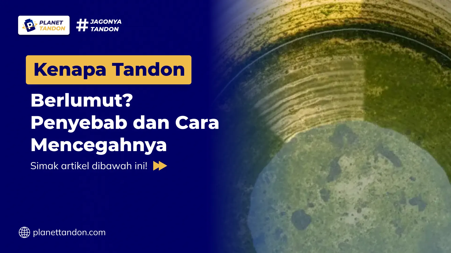 Kenapa Tandon Berlumut? Penyebab dan Cara Mencegahnya