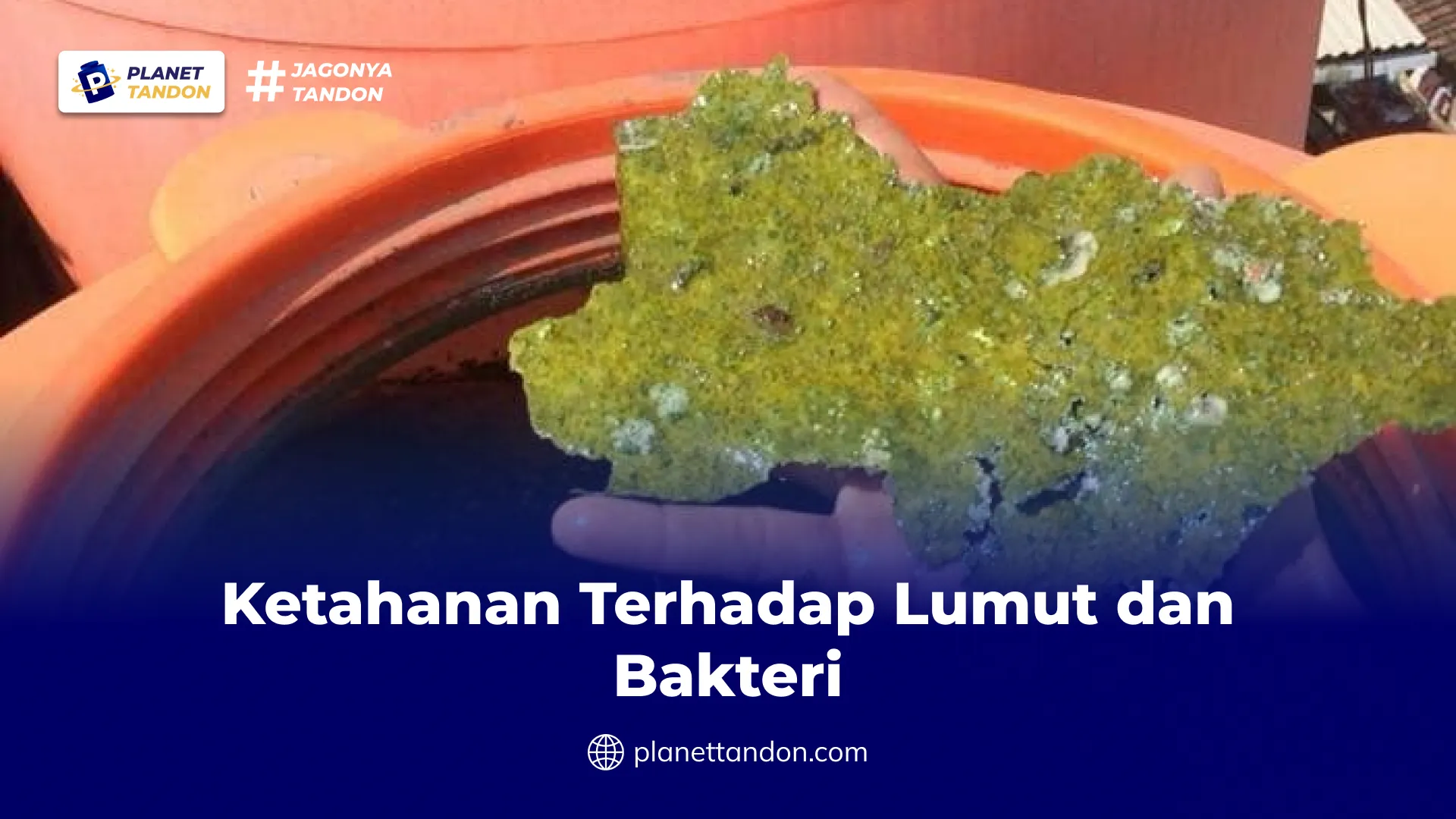Ketahanan Terhadap Lumut dan Bakteri